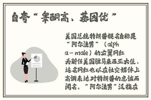 张婉莹暑假作业视频高清